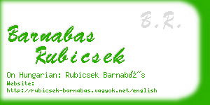 barnabas rubicsek business card